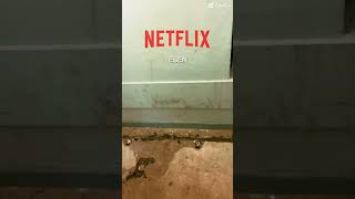 Ab 31 Oktober 2024 nur auf Netflix sehen [upl. by Rudd]