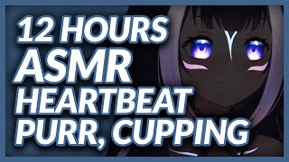 ASMR  12 hours of Lily doing heartbeat purr and cupping to celebrate 1 million views on the channel [upl. by Hayyifas]