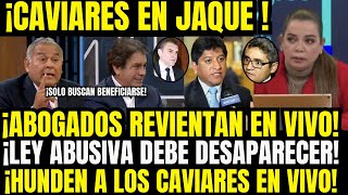 LOS REVIENT4N CAVIARES LLORAN POR LEY QUE ABUSIV4 QUE PRETENDE EXPROPIACIONES MASIVAS SIGRID LLORA [upl. by Idonah379]