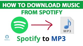 How to Download Music in Spotify 2024 New Method [upl. by Eilrahs]