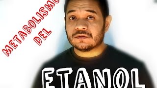 METABOLISMO DEL ETANOL  Profe Murillo [upl. by Flodur]