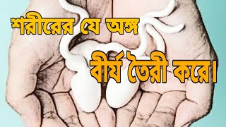 শরীরের কোন অঙ্গ থেকে বীর্য উৎপন্ন হয়  From which part of the body does semen originate [upl. by Hardigg135]