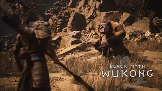 Black Myth Wukong Chapter 2  All Bosses No Damage [upl. by Marigolda]