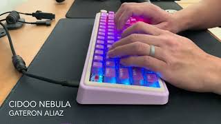 Cidoo Nebula  Gateron Aliaz Switches  Typing Sounds [upl. by Hintze]