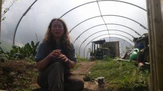 What is WWOOF by UK coordinator Scarlett Penn [upl. by Fabi]