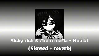 Ricky rich amp Aram mafia  Habibi   Slowed  reverb  LoFi music [upl. by Lletnuahs]