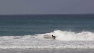 Nazaré Locals  Secret Spot [upl. by Emmery]