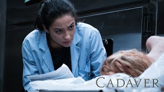 CADÁVER  Protagonizada por Shay Mitchell  Clip en ESPAÑOL  Sony Pictures España [upl. by Sorrows95]