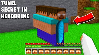 Am Gasit UN TUNEL IN HEROBRINE din MINECRAFT Unde Duce TUNELUL SECRET [upl. by Ecerahc]