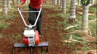 Rotary Tiller or Power Weeder [upl. by Baer]