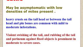 chorioptic and demodectic mange lecture for vet students [upl. by Mcmurry]