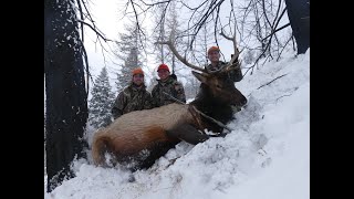 Idaho Elk 2019  Late Muzzleloader [upl. by Lucey597]