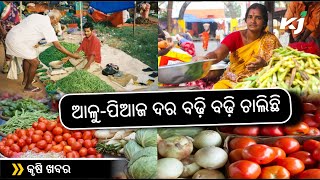 Vegetable Price Hike ଆଳୁପିଆଜ ଦର ବଢ଼ି ବଢ଼ି ଚାଲିଛି  Mohan Majhi  PM Modi  Cyclone Dana [upl. by Rehpatsirhc]