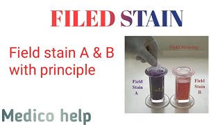 Field stain AampB procedure  gram staining [upl. by Langer]