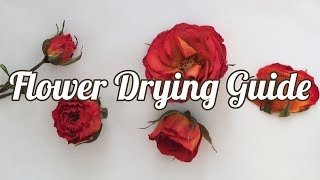 How to Dry Flowers 4 Methods [upl. by Eciral70]