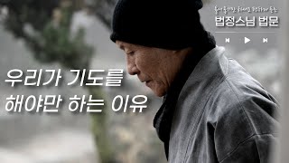 틀어 놓기만 하세요🎧 편하게 듣는 법정스님 법문 우리가 기도를 해야만 하는 이유 법정스님 법정스님법문 [upl. by Apgar345]