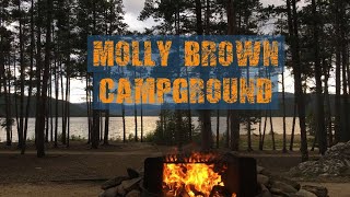 Molly Brown Campground  Turquoise Lake  Leadville [upl. by Kawai555]