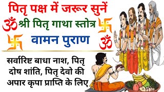 पितृ पक्ष में सुनें पितृ गाथा स्तोत्र Pitru Stotra पितृ दोष शांति के लिए पितृ देवों की कृपा के लिए [upl. by Ynaffital]