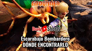 CÓMO CONSEGUIR PARTES DE ESCARABAJO BOMBARDERO FÁCIL  GROUNDED 10 2022 ESPAÑOL SHORTS [upl. by Aihtennek759]