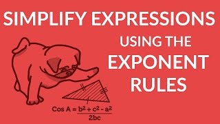 ʕ•ᴥ•ʔ Simplify Expressions with Ease using the Exponent Rules [upl. by Fabyola]