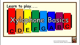 Xylophone Learn Basics of Playing a Xylophone [upl. by Atikan577]