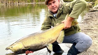 Skein fishing for giant salmon [upl. by Jeu]