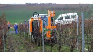 Rebenvorschneider im Einsatz Weingut JKohlheyerAlsheim [upl. by Atnuahc]