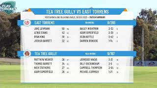 SACA Premier Cricket  West End Mens 1st Grade Div One  Rd4  Tea Tree Gully v East Torrens  Day 2 [upl. by Asirb434]