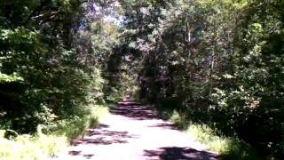 Buffalo River State Trail Mondovi WI [upl. by Monto]