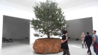 Céleste Boursier Mougenot France Francia Biennale di Arti Visive di Venezia 2015 [upl. by Raybin57]