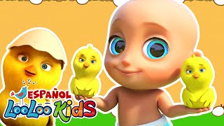 🌈 Colección Especial Los Pollitos Canciones Favoritas 1 Hora de Música Infantil con LooLoo Kids [upl. by Conal]