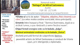 M Sadoveanu ”Baltagul” Audiție Fișă de lectură Caracterizarea personajului principal feminin [upl. by Rennane891]