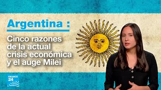 ¿De dónde surge la crisis económica argentina y cómo influye en la carrera a la Presidencia [upl. by Flight652]