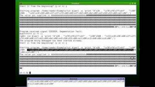 Buffer Overflow Tutorial  Part 8 [upl. by Menzies958]