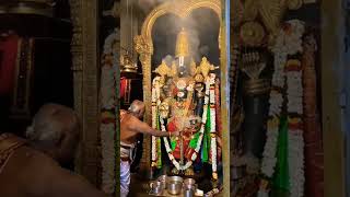 lord Venkateswara 🙏🙏🙏 Devotional 🙏🙏🙏 latest video Viral video [upl. by Leanard]