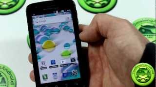 How To Install TWRP Android Recovery On Any Android Phone [upl. by Cryan403]