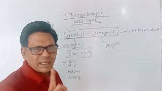 tricarboxylic acid cycle class 10 science chapter 2 life processes in living organisms part 1 [upl. by Parik292]