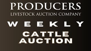 9262024  Cattle Auction  Producers Livestock Auction Company [upl. by Nnewg]