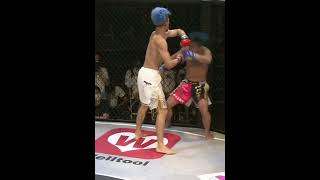 429 PANCRASE 327 ライト級 平信一 Shorts [upl. by Adlesirg]