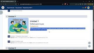 Estructura de Cursos Plataforma UADY Virtual 24 [upl. by Atthia293]