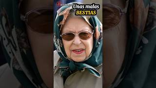 😳 PARTE 1 Las MALAS BESTIAS de Isabel II 😳 Parte 2 aquí ▶️ isaperros [upl. by Neelra]