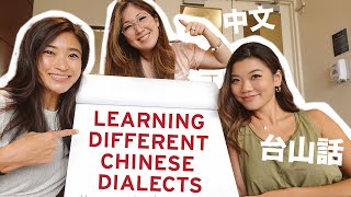 Learning to Speak Mandarin Toisanese amp Taiwanese  ABG Tries [upl. by Nodababus395]