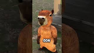 MEMES RANDOM CAPIBARA 80 litros de MAYONESA [upl. by Nameloc]