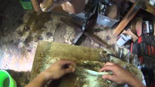 FLESHING WHITETAIL DEER CAPES ON DAKOTA FLESHING MACHINE [upl. by Ayama]