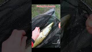 Pike fishing UK Single hooks [upl. by Abocaj224]