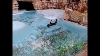 South African fur seal Arctocephalus pusillus pusillus [upl. by Goer]