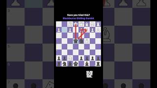 Have you tried this Blackburne Shilling Gambit chess chesscom viral shorts [upl. by Mellisa217]