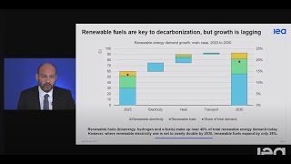 Renewables 2024 [upl. by Pete]