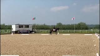 NOVICE MASTERS DRESSAGE TEST [upl. by Donohue]