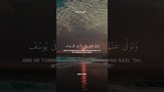 Saad Al Ghamdi surah yousuf 84  86 القرآنالكريم islam [upl. by Aeresed]